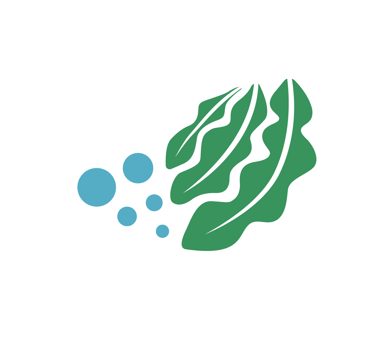 Licepliers logo